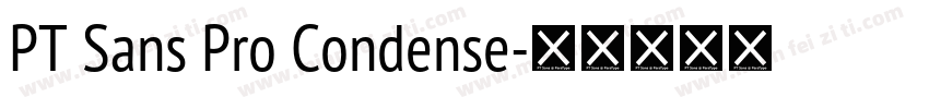 PT Sans Pro Condense字体转换